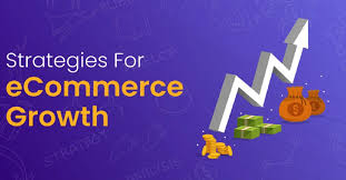 business insights shopnaclo