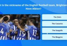 nickname of brighton and hove albion