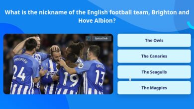 nickname of brighton and hove albion