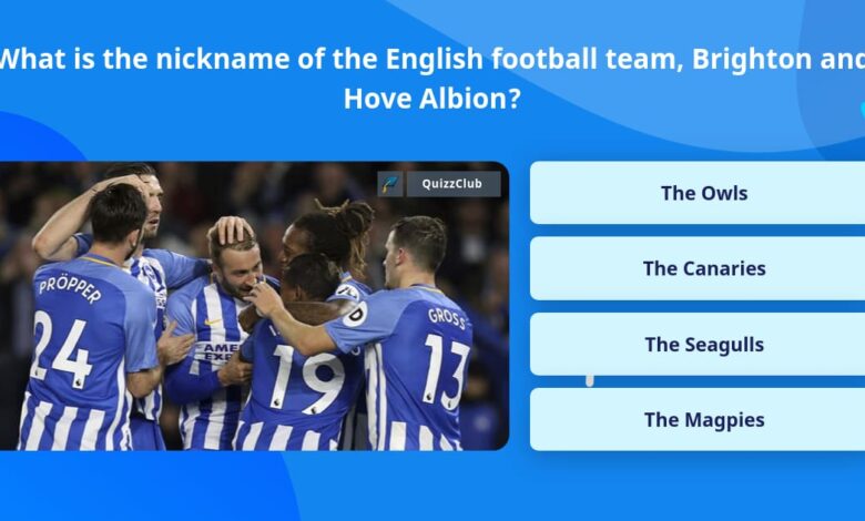 nickname of brighton and hove albion