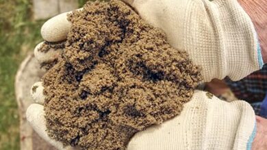 Lime Mortar Mix
