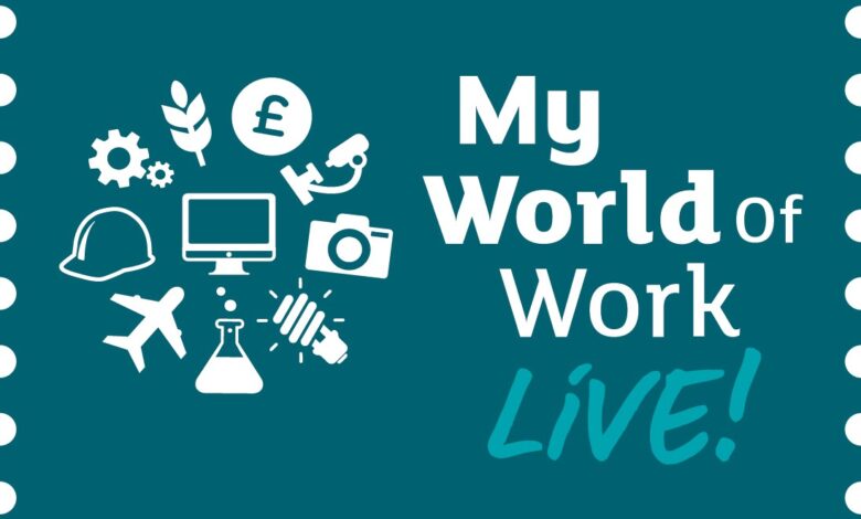 My World of Work