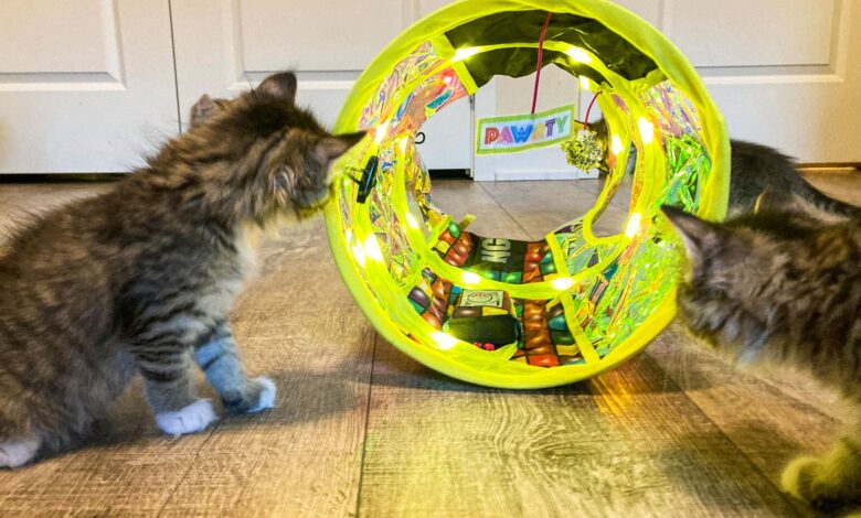 Interactive Cat Toys